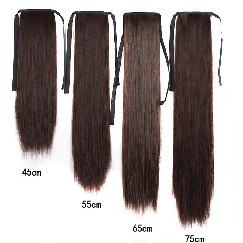 Queue de cheval longue lisse effet soie – perruque lace-up naturelle