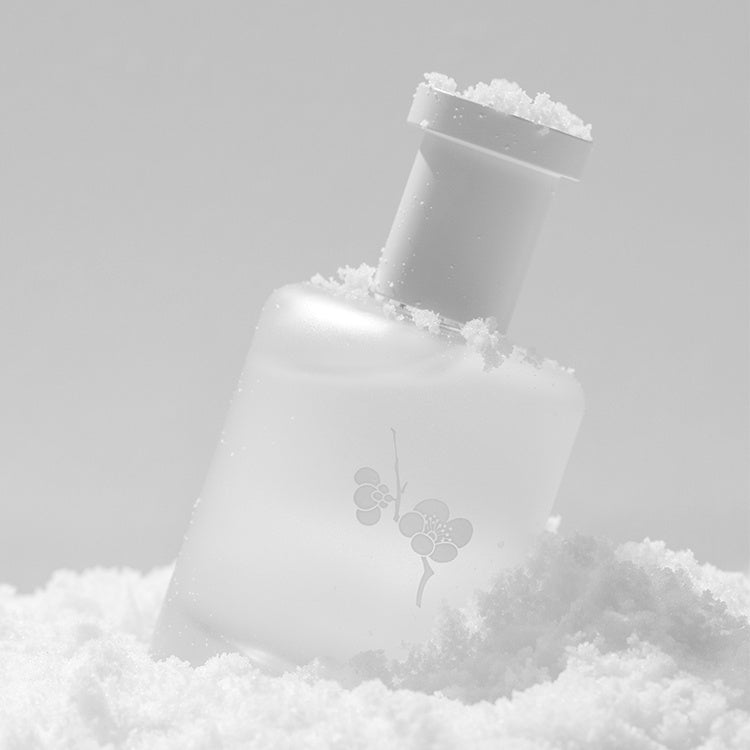 Slow Song · Snow Moon – Parfum Eau de Toilette Orientale pour Femme, Aura Irrésistible