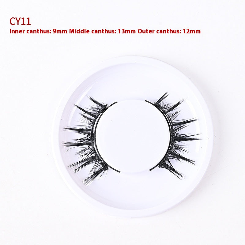 Trio of Magnetic False Eyelashes Without Glue – Natural, Long-Lasting, Reusable