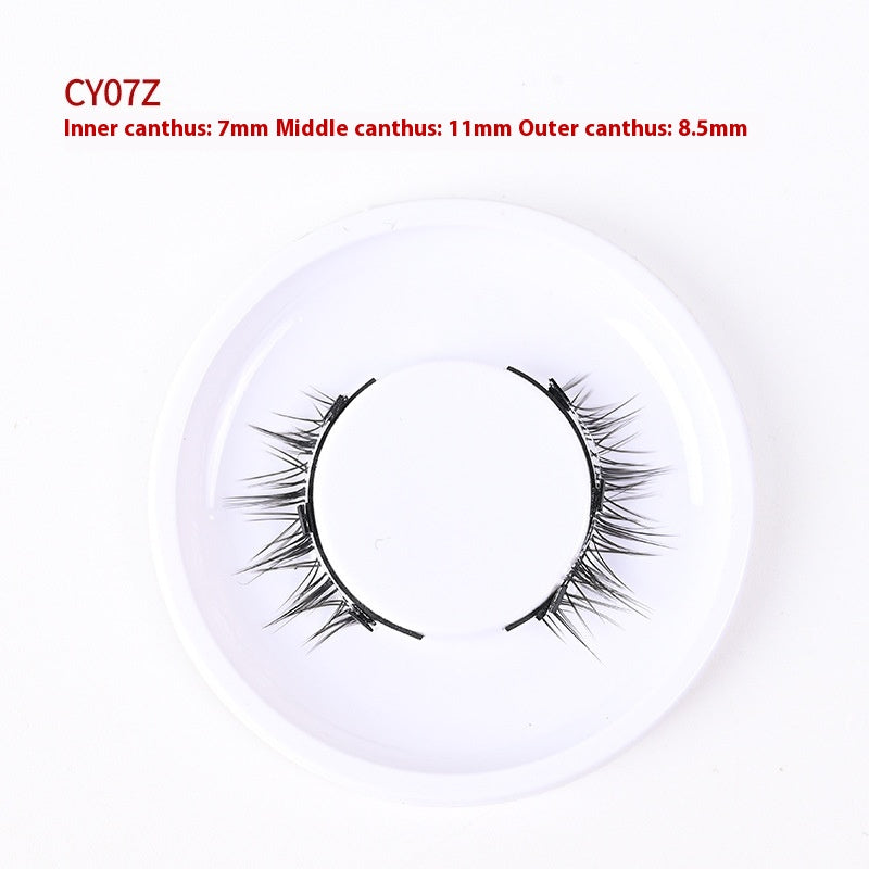 Trio of Magnetic False Eyelashes Without Glue – Natural, Long-Lasting, Reusable