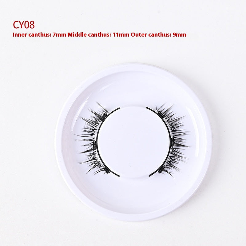Trio of Magnetic False Eyelashes Without Glue – Natural, Long-Lasting, Reusable