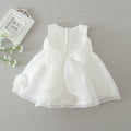 Robe Princesse Bébé Tutu Fille 1 An Demoiselle d'Honneur