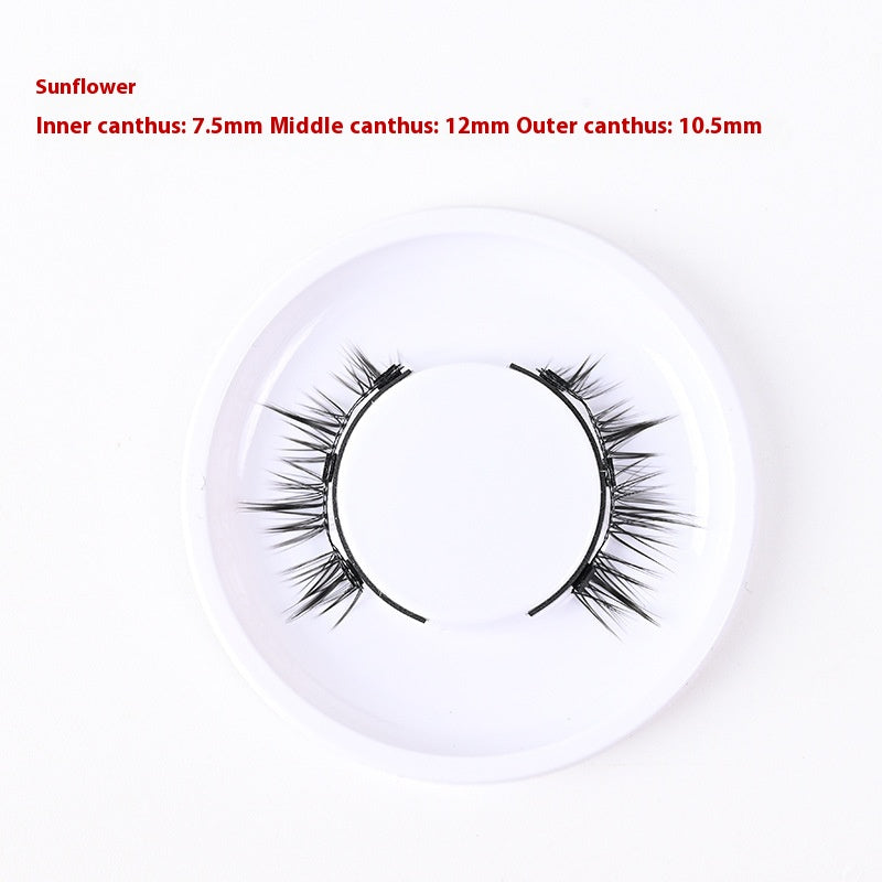Trio of Magnetic False Eyelashes Without Glue – Natural, Long-Lasting, Reusable